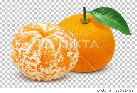 みかん 果物 イラスト リアル セット 85551458