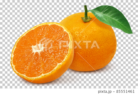 みかん 果物 イラスト リアル セット みかん 果物 イラスト リアル セット 85551461