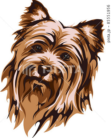 Vector image of a muzzle of a dog, Yorkshire Terrier, vector illustration for use in logos, signs, trademarks, for design and advertising 85551956