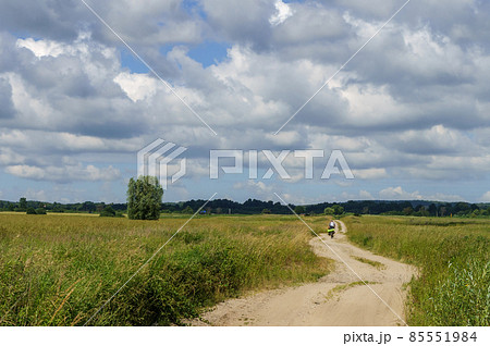 A long road in an arable field. Farmland. A beautiful field road A long road in an arable field. Farmland. A beautiful field road 85551984