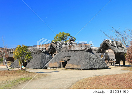 【佐賀県】快晴下の吉野ヶ里歴史公園(蔵と市) 【佐賀県】快晴下の吉野ヶ里歴史公園(蔵と市) 85553469
