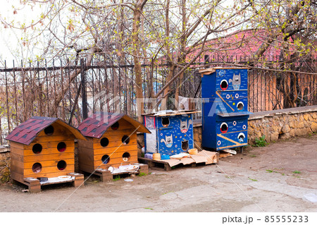 Odessa, Ukraine - 04 19 21: houses and food for homeless cats Odessa, Ukraine - 04 19 21: houses and food for homeless cats 85555233