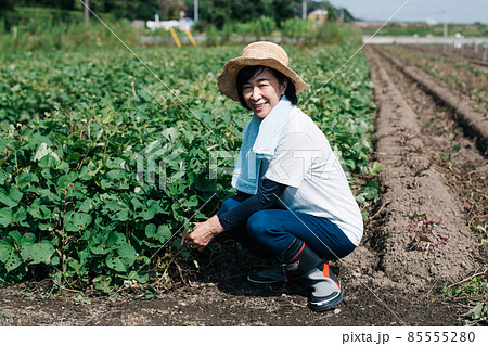 農家の女性・農作業をする日本人女性イメージ 85555280