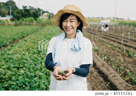 農家の女性・農作業をする日本人女性イメージ 85555281