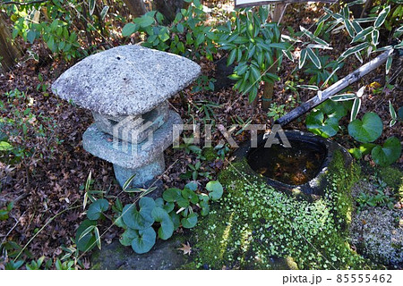 代官屋敷・静岡県富士市広見公園 代官屋敷・静岡県富士市広見公園 85555462