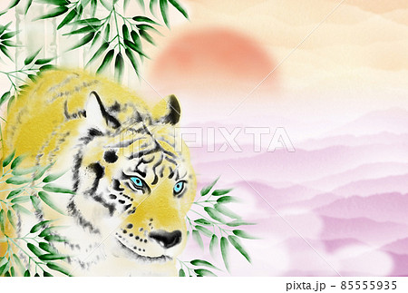 初日出と薄紫色の雲海を背景に竹林から姿を現す虎の日本画風イラスト 横 ハガキ比率 高解像度 他色有り 初日出と薄紫色の雲海を背景に竹林から姿を現す虎の日本画風イラスト 横 ハガキ比率 高解像度 他色有り 85555935
