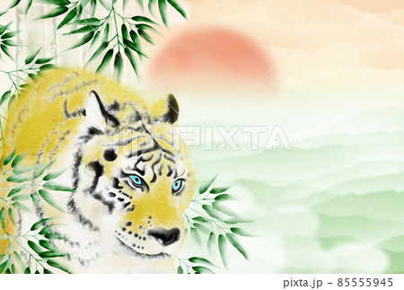 初日出と緑色の雲海を背景に竹林から姿を現す虎の年賀状イラスト 横 ハガキ比率 高解像度 他色有り 85555945