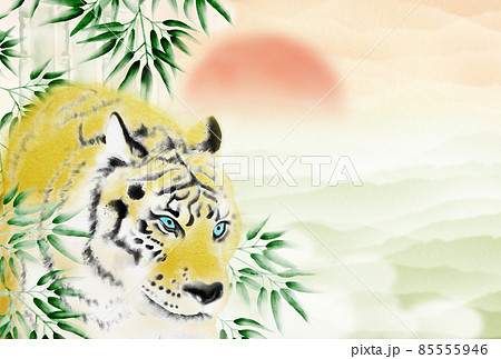 初日出と黄緑色の雲海を背景に竹林から姿を現す虎の年賀状イラスト 横 ハガキ比率 高解像度 他色有り 85555946