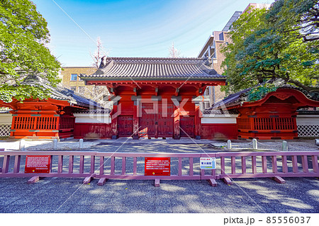 東京大学赤門 85556037