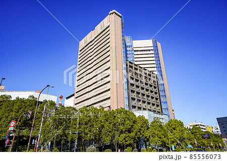 国立がん研究センター中央病院 85556073