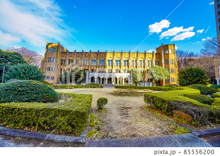東京大学医学部 85556200