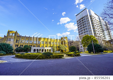 東京大学医学部 85556201