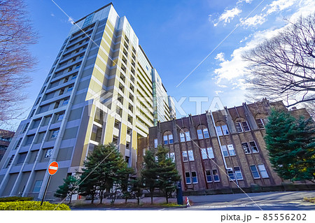 東京大学医学部 85556202