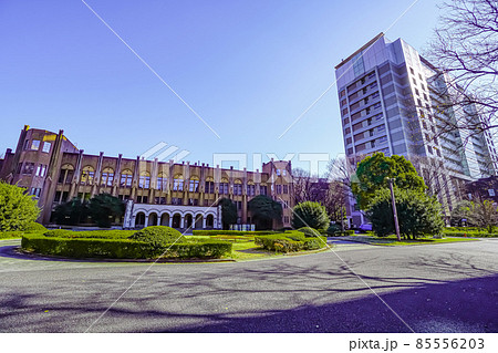 東京大学医学部 東京大学医学部 85556203