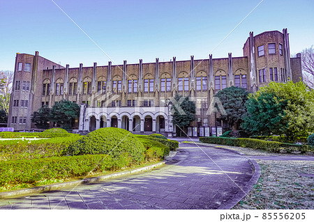東京大学医学部 85556205