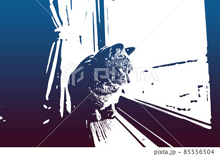 猫 ネコ ねこ キジトラ 白 グレー 子猫 雌 メス 雌ねこ 雌ネコ 雌猫 元気 かわいい 癒し 85556504