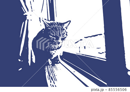 猫 ネコ ねこ キジトラ 白 グレー 子猫 雌 メス 雌ねこ 雌ネコ 雌猫 元気 かわいい 癒し 85556506