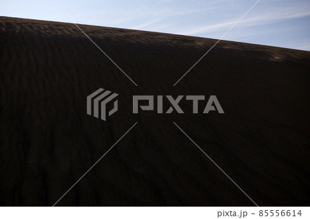 鳥取　四季の散歩　春　砂丘 85556614