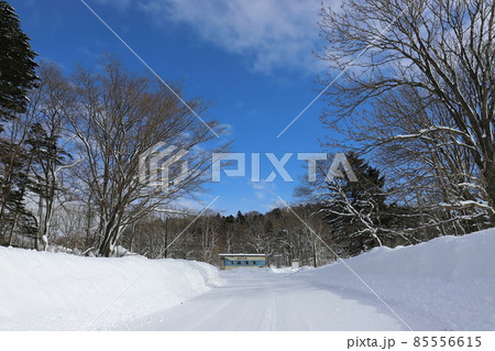 北海道　幌延　JR宗谷本線下沼駅 85556615