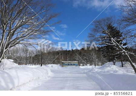 北海道　幌延　JR宗谷本線下沼駅 85556621