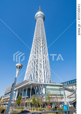 東京スカイツリーと快晴の青空 85556641