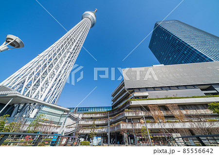 東京スカイツリーと快晴の青空 東京スカイツリーと快晴の青空 85556642