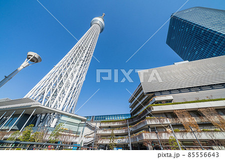 東京スカイツリーと快晴の青空 東京スカイツリーと快晴の青空 85556643
