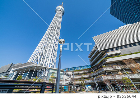 東京スカイツリーと快晴の青空 東京スカイツリーと快晴の青空 85556644