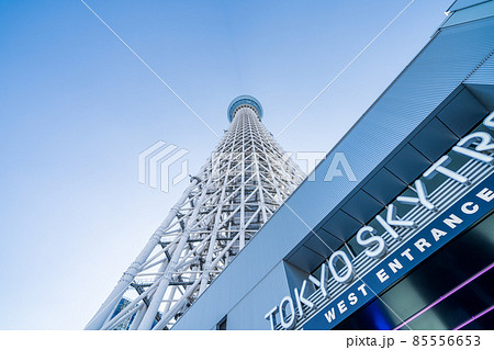 東京スカイツリーと快晴の青空 85556653