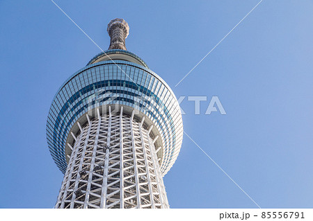 「東京都」雲一つない青空と東京スカイツリー 85556791