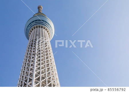 「東京都」雲一つない青空と東京スカイツリー 85556792