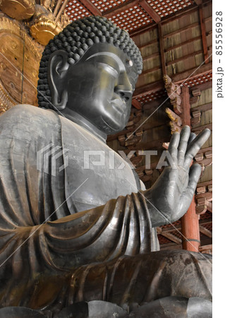 斜めから見上げた、奈良の東大寺の大仏 85556928