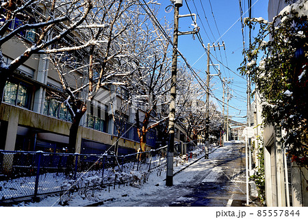 代々木上原駅周辺 雪の住宅街 並木道 代々木上原駅周辺 雪の住宅街 並木道 85557844