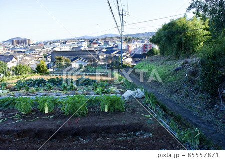 神後田(じごで)遺跡から松江市街を見る 弥生時代の環濠のある遺跡 神後田(じごで)遺跡から松江市街を見る 弥生時代の環濠のある遺跡 85557871