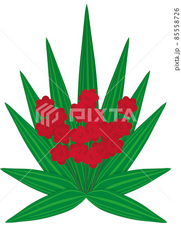 Red freesia flowers bouquet with long leaves vector illustration 85558726