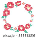 椿の花のフレーム 85558856