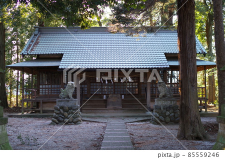 菅谷神社拝殿 85559246