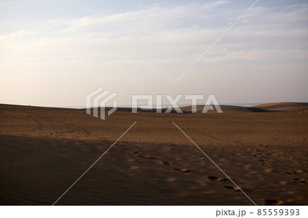 鳥取　四季の散歩　春　砂丘 85559393