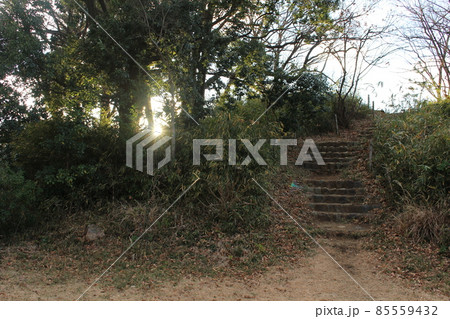 弘法松公園の山の頂上に続く石段 弘法松公園の山の頂上に続く石段 85559432
