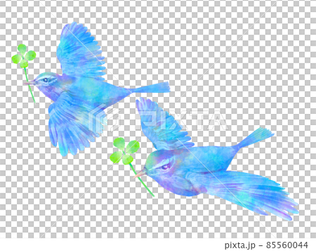 鳥と四つ葉のクローバー　水彩画風　手書き風　青い鳥 85560044