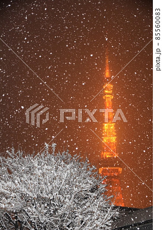 牡丹雪の舞う東京タワー 85560083