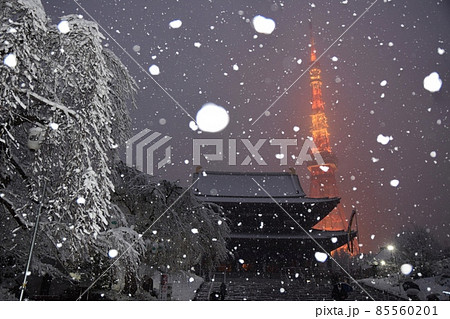 雪の中の増上寺と東京タワー 雪の中の増上寺と東京タワー 85560201