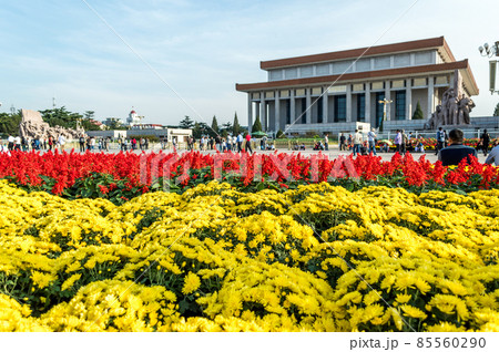 Colorful flower display in Tiananmen in Beijing ahead of a National Day of China Colorful flower display in Tiananmen in Beijing ahead of a National Day of China 85560290