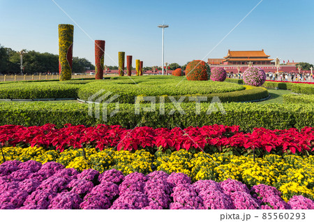 Colorful flower display in Tiananmen in Beijing ahead of a National Day of China Colorful flower display in Tiananmen in Beijing ahead of a National Day of China 85560293