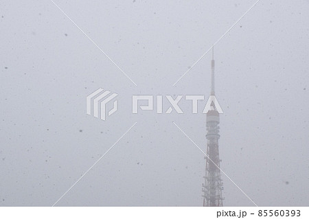 牡丹雪の舞う東京タワー 牡丹雪の舞う東京タワー 85560393