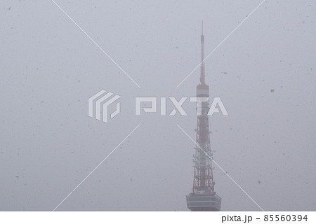 牡丹雪の舞う東京タワー 牡丹雪の舞う東京タワー 85560394