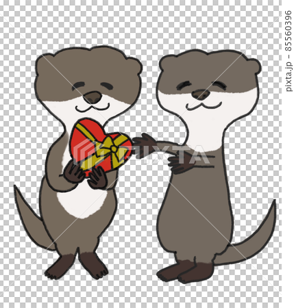 Otters to receive chocolate on Valentine's Day Otters to give as gifts 85560396