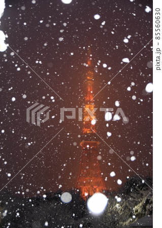 牡丹雪の舞う東京タワー 牡丹雪の舞う東京タワー 85560630