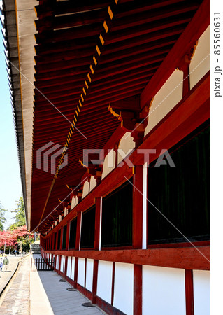 東大寺西回廊沿いの塀 東大寺西回廊沿いの塀 85560631