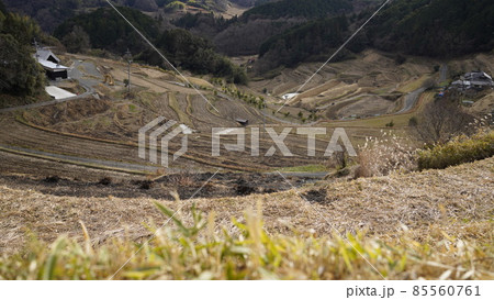 大垪 棚田 大垪 棚田 85560761